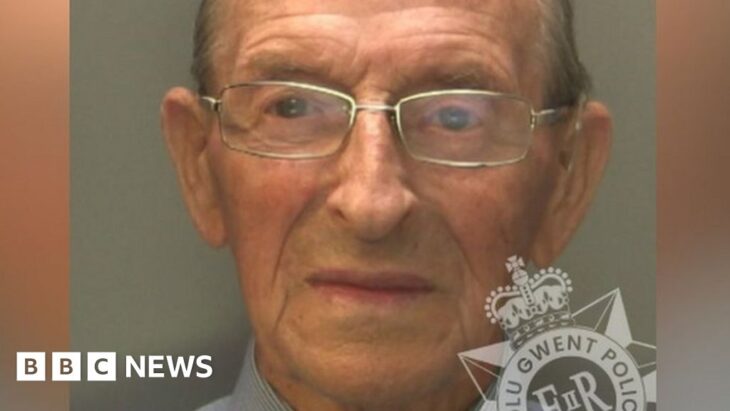 Caerphilly man, 96, warned about sight jailed for killing pedestrian – BBC News