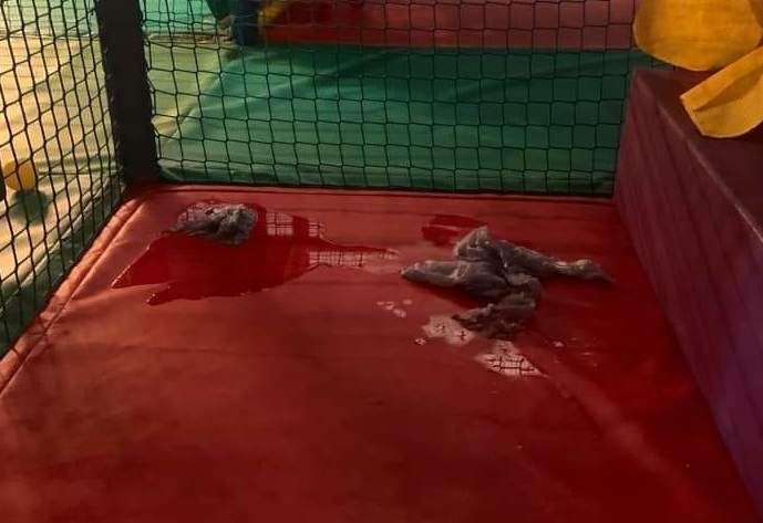 Concerns raised over 'filthy' and 'busy' soft play at Ashford's Stour Centre