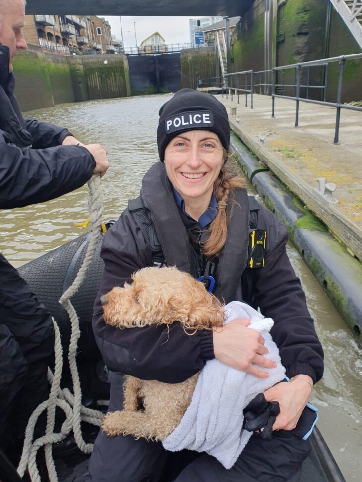 Little pooch rescued from River Thames.
