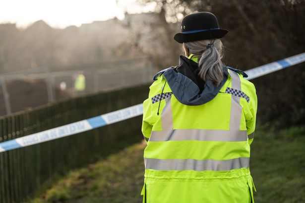 Police investigating attempted rape after woman approached by four men