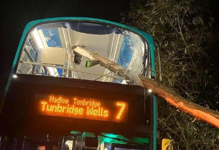 Tree branch pierces Arriva bus travelling from Maidstone to Tunbridge Wells
