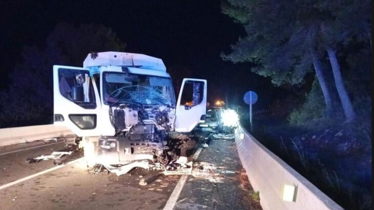 Brit, 36, among two men killed in head-on crash with dustbin lorry in Ibiza - as two passengers also seriously injured