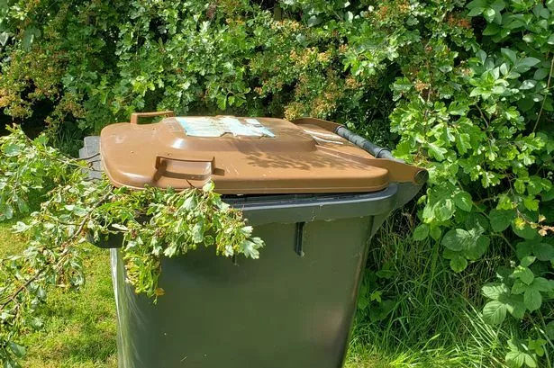 How much it costs in Cheshire to get your garden bin emptied