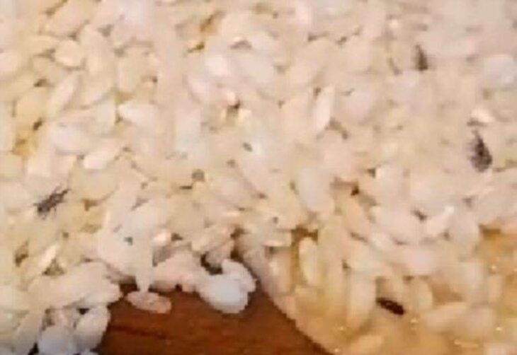Margate mum’s horror as tiny bugs crawl over risotto rice bought from Sainsbury’s at Westwood Cross, Broadstairs
