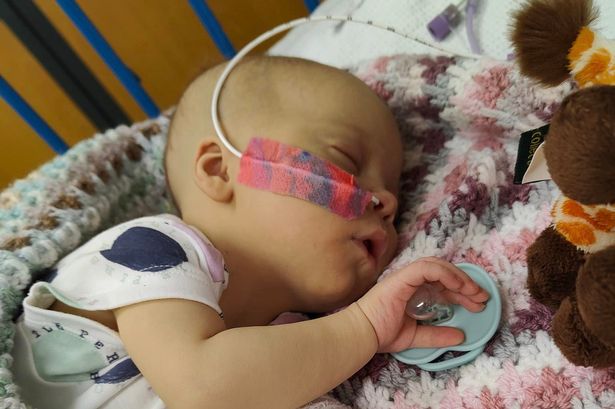 Critically ill baby needs 'greatest gift of all' as parents plead for liver donor