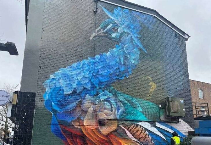 New peacock mural, by Curtis Hylton, brightens up Bank Street, Ashford
