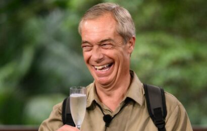 Nigel Farage 'offered five-figure fee' for next reality show after I'm A Celeb