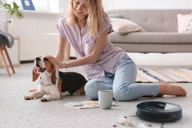 A £300 robot vacuum cleaner that leaves carpets 'fluffy' is now half price