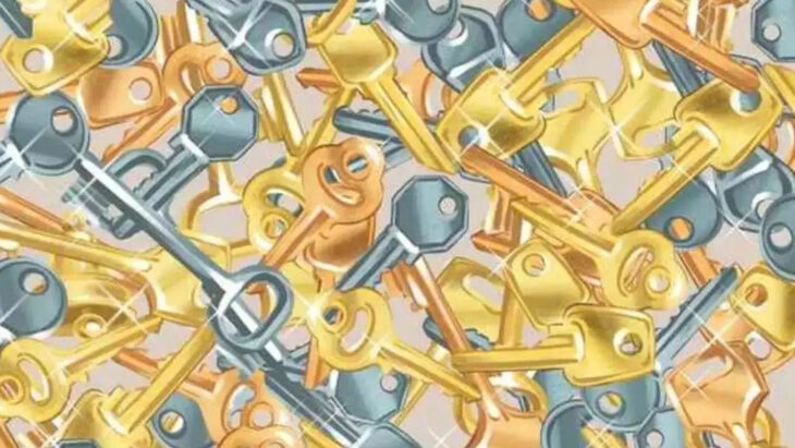Everyone can see the keys in the picture - but you have 20/20 vision if you spot the hidden bell in 10 seconds