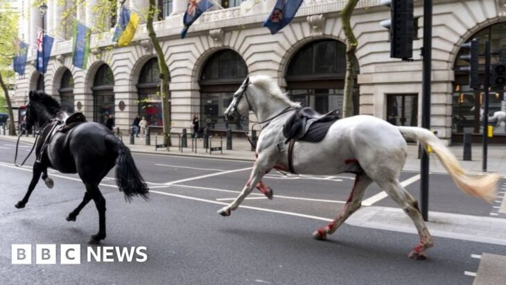 Four hurt after runaway horses bolted in London