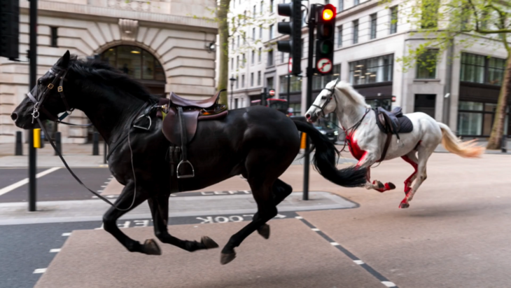 Military horses rampage through streets of London