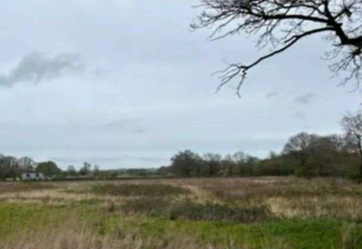 New wetland to be created in Staplehurst to encourage wildlife and lessen flood risk