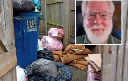 Rat problem fears due to Suez collection problems leaving bins overflowing in Maidstone
