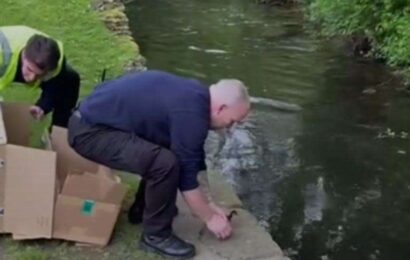 Security guards rescue flock of ducks lost in Whitefriars Square in Canterbury