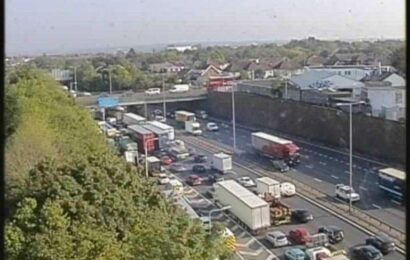 Broken down lorry at Dartford Tunnel between A296 and A206 causes long delays towards Dartford Crossing