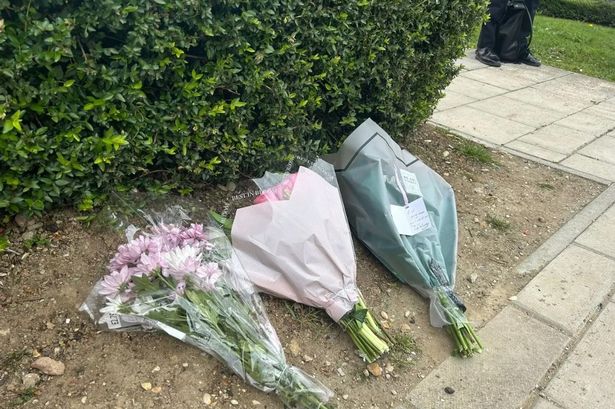 Daniel Anjorin's family pay heartbreaking tribute after 14-year-old killed in Hainault sword attack