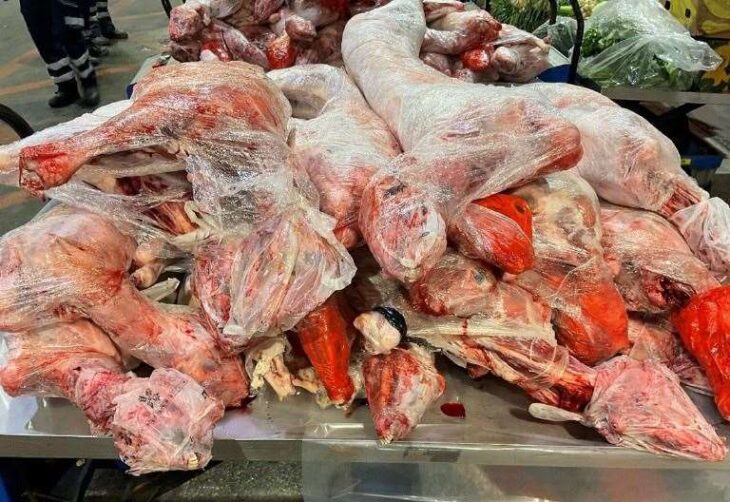 Illegally imported pork and sheep carcasses seized by Dover Port Health Authority