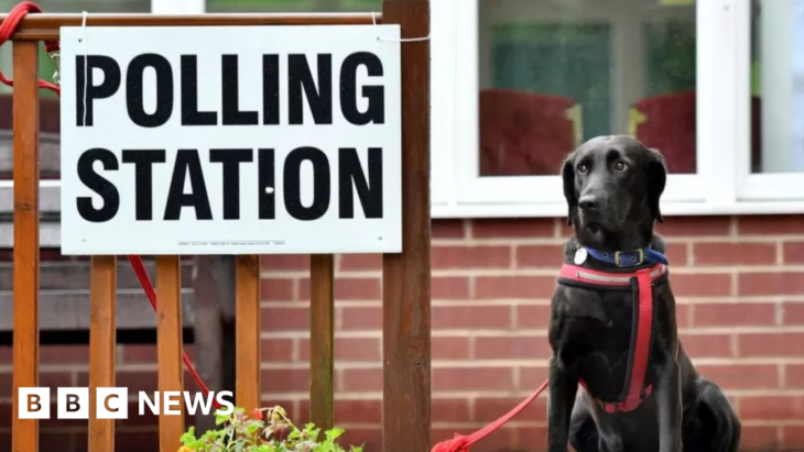 Londoners go to the polls in mayoral election