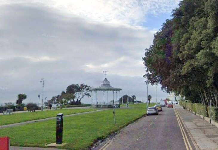 Man arrested after reported dog attack in Folkestone