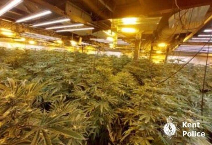 Police name three charged after £1m cannabis farm on Newington industrial estate of Haine Road, Ramsgate raided