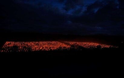 The truth behind dazzling pictures of ‘alien landing site’ in vineyard at Barham Wine Estate near Canterbury