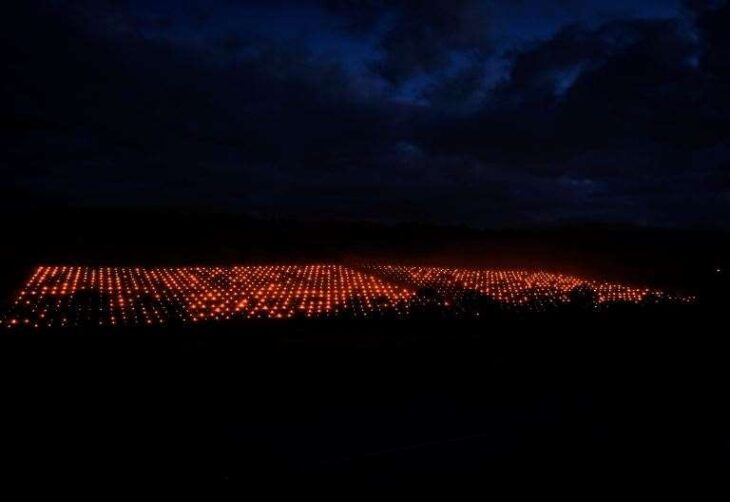 The truth behind dazzling pictures of ‘alien landing site’ in vineyard at Barham Wine Estate near Canterbury