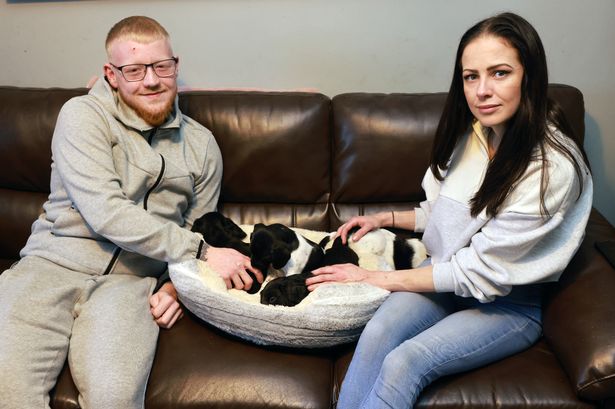 Tragedy as Gateshead woman loses four pets in house fire - but five puppies saved by neighbours